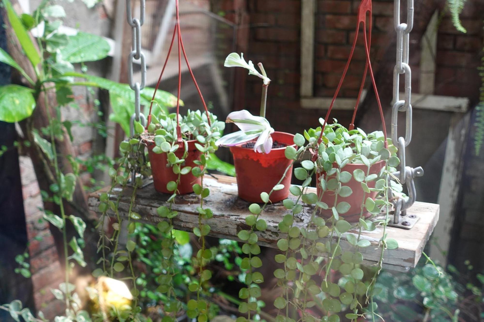 Fuqi Hostel - Heping Tainan Dış mekan fotoğraf